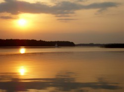 IMG_0206.jpg