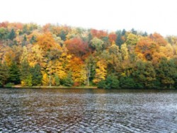 DSCF4840.jpg
