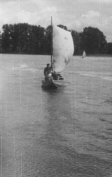 pychówka wiślana_1959-1.jpg