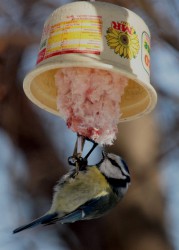 sikorka 3.jpg