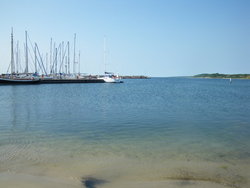 IMGP0631.jpg