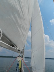 DSCN1445.JPG