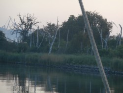 zagadka.jpg