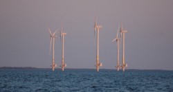 DSC_3954.JPG