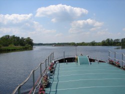 DSC01207.jpg
