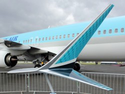 winglet-MAX.jpg