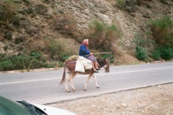 W drodze do domu.jpg
