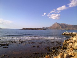 20110130_23.jpg