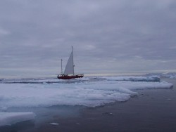 arktyka2.jpg