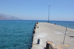 IMG_2032.JPG