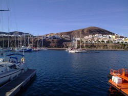 20110130_81_resized.jpg