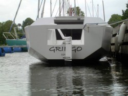 gringo11e.jpg