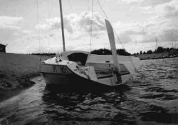 PIP-550 rufa2.jpg