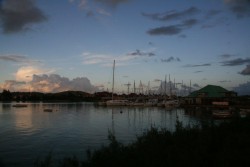 IMG_6082.jpg