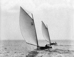 597-osprey_sirene.jpg