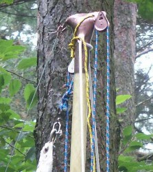 PICT4841 top.JPG