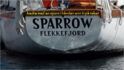 sparrow.jpg