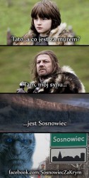 krym_sosnowiec.jpg