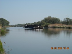 DSCN0467.JPG