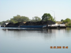 DSCN0469.JPG