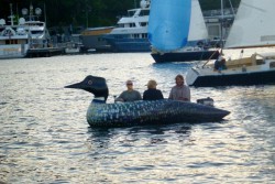 Loon.jpg