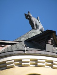 IMG_7915.JPG