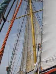 IMG_7919.JPG