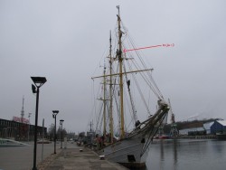 IMG_7981.JPG