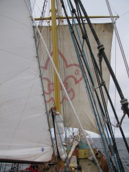 IMG_8021.JPG