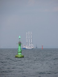 IMG_8025.JPG