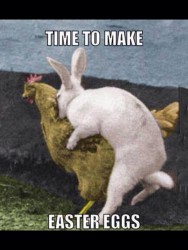 Easter_Eggs.jpg