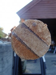 l5.jpg