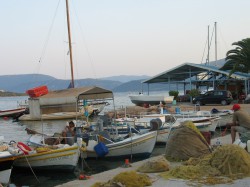 IMG_2828.JPG
