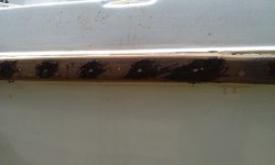 IMAG0040.jpg