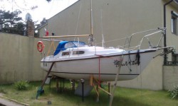 IMAG0042.jpg
