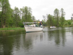 IMG_8132.jpg