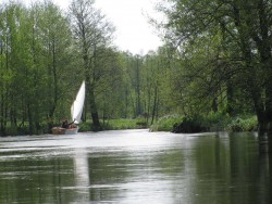 IMG_8168.jpg