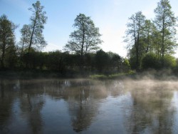 IMG_8371.jpg