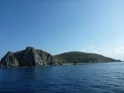 P1000741.jpg