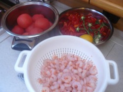 P1100005.JPG