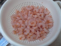 P1100007.JPG