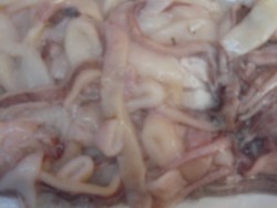 P1100009.JPG