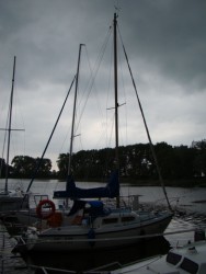 DSC07993.JPG