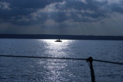 IMG_4480_1.jpg