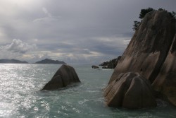 IMG_5154.jpg