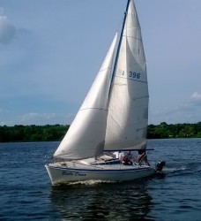 WP028m.jpg