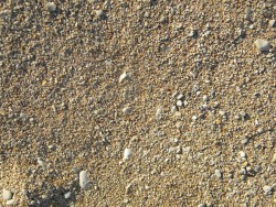 Dugi Otok plaża 1.JPG
