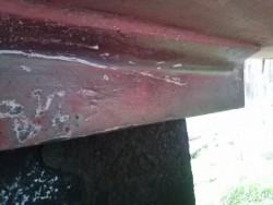 420431_CAM01022.jpg