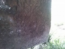 420429_CAM01021.jpg