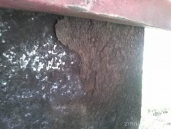 420427_CAM01018.jpg